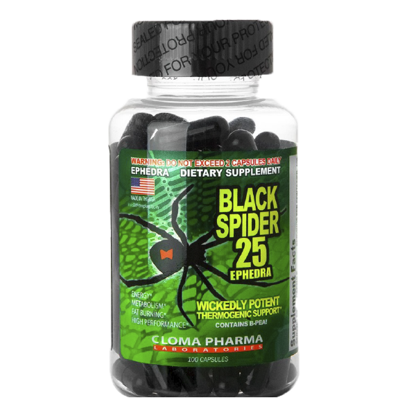 BLACK SPIDER