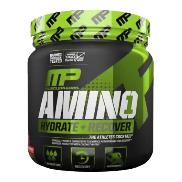 AMINO 1