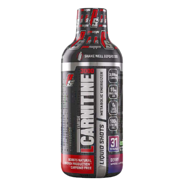 L-CARNITINE 3000