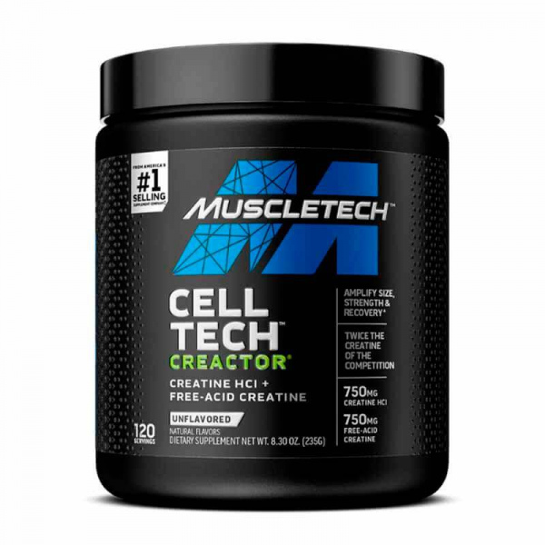 MUSCLETECH CREACTOR